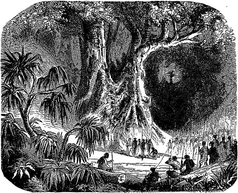 19. század, gyarmatosítás, I. Ranavalona, Kegyetlen uralkodó, Madagaszkár, Madagaszkári Királyság, Népirtás, rabszolgaság, történelem, Véres királynő