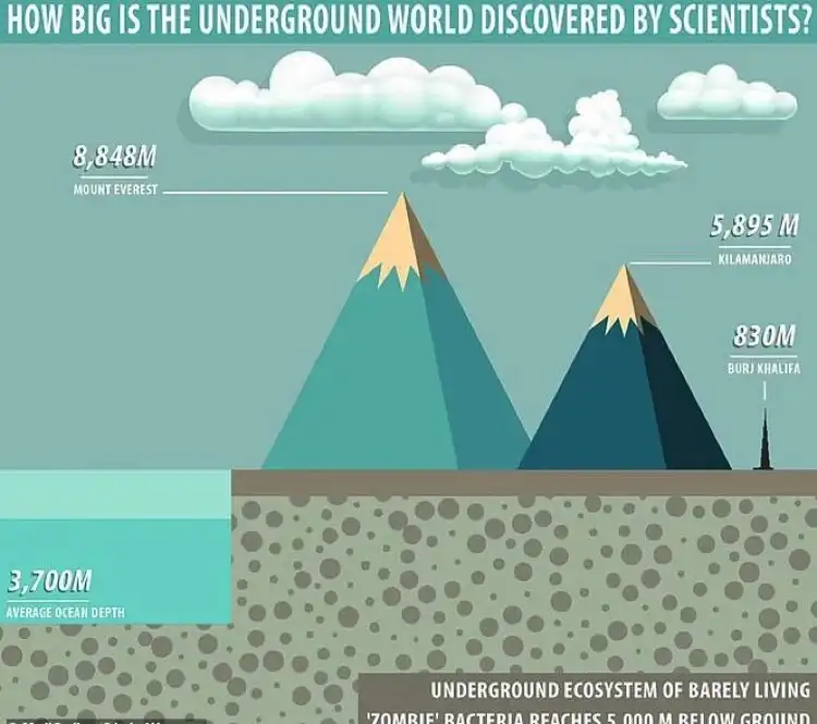 asztrobiológia, bioszféra, élet, extremofilek, felfedezés, földalatt, mélység, mikrobák, ökoszisztéma, tudomány