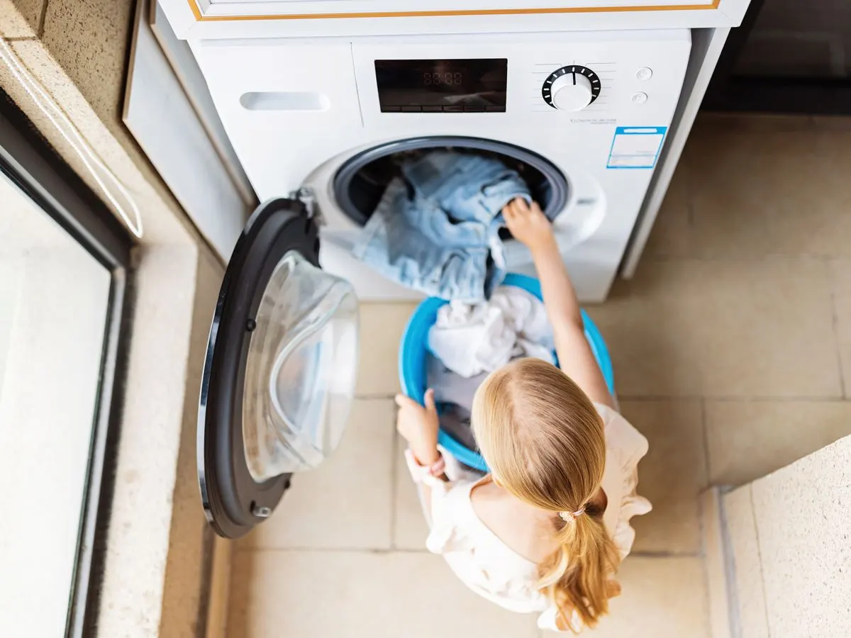 előnyök, energiafogyasztás, hátrányok, háziállat, háztartás, hőmérséklet, hőszivattyú, szárítógép, szőr, takarítás, zajszint