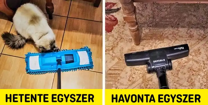 életmód, fürdőszoba, hatékonyság, házimunka, időgazdálkodás, konyha, lakás, otthon, rend, szokások, takarítás, takarítási tippek, tippek, tisztaság, trükkök