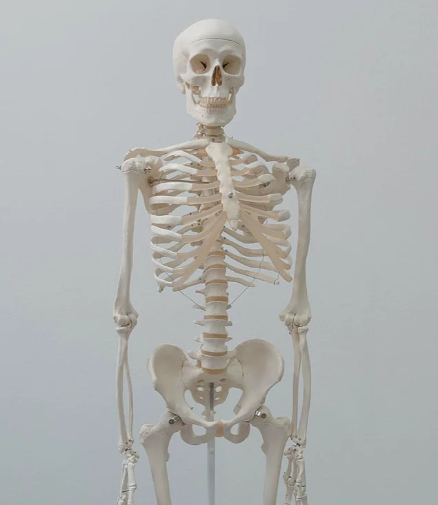 algor mortis, bomlás, emberi test, halál, halál folyamata, halál utáni folyamatok, hullamerevség, rigor mortis, test a halál után, test változásai