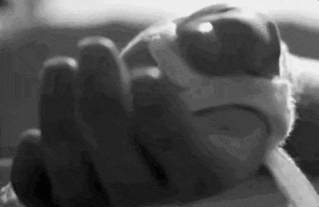 algor mortis, bomlás, emberi test, halál, halál folyamata, halál utáni folyamatok, hullamerevség, rigor mortis, test a halál után, test változásai