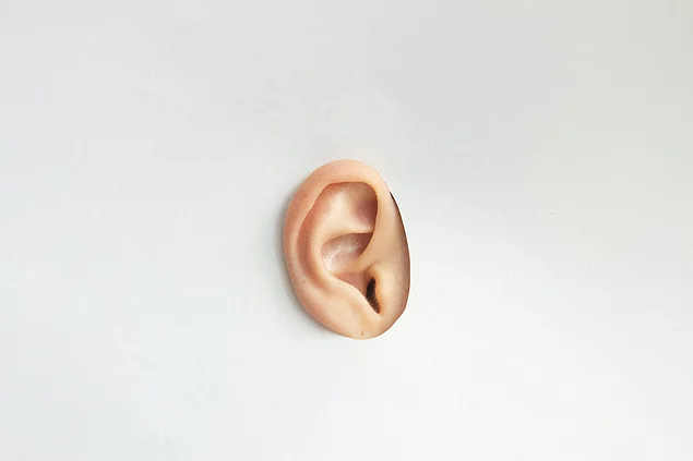 algor mortis, bomlás, emberi test, halál, halál folyamata, halál utáni folyamatok, hullamerevség, rigor mortis, test a halál után, test változásai