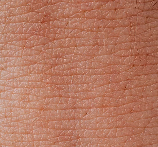 algor mortis, bomlás, emberi test, halál, halál folyamata, halál utáni folyamatok, hullamerevség, rigor mortis, test a halál után, test változásai