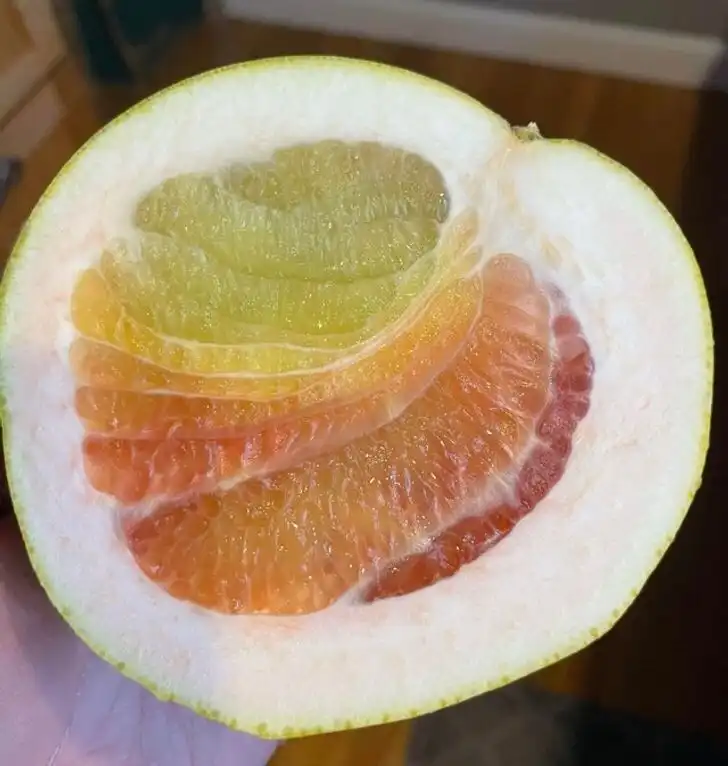 csodák, elég érdekes, érdekességek, galéria, meglepetések, világ felfedezése