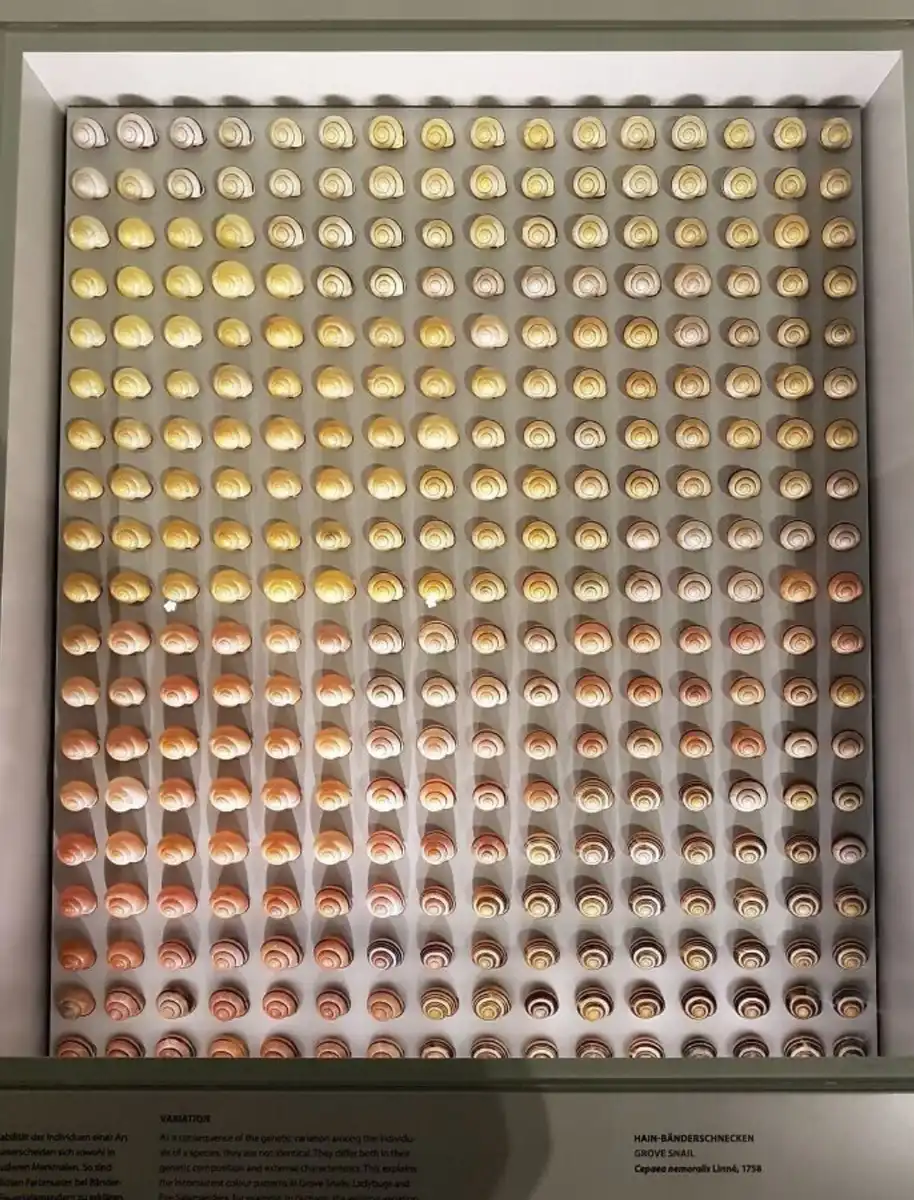 esztétika, fotógyűjtemény, kábelek, látványos, perfekcionizmus, rend, rendezés, szemet gyönyörködtető, tökéletes