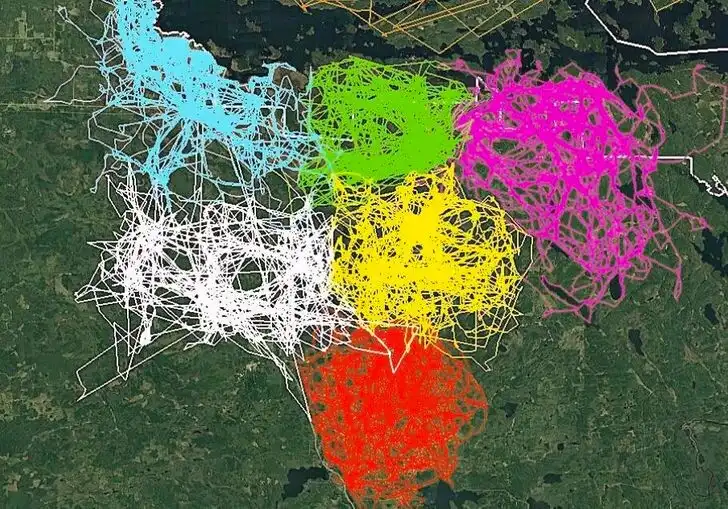 állatok, állatvilág, ásványok, érdekes képek, érdekességek, felhők, furcsaságok, GPS, különleges jelenségek, látványos fotók, mikroszkóp, növények, optikai illúziók, ritkaságok, rovarok, technológia, természetfotók, tudomány, víz
