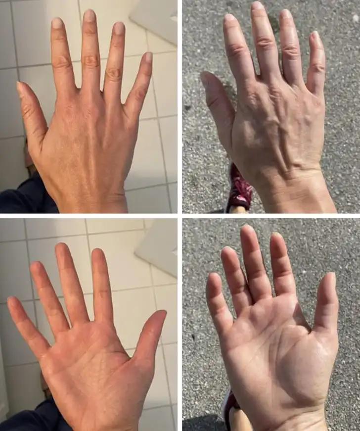 állatok, emberi test, érdekes, érdekességek, ételek, fotók, furcsa, gyűjtemény, hétköznapi, jelenségek, meglepő, növények, optikai illúzió, szokatlan, tárgyak, természet, tudomány, vicces