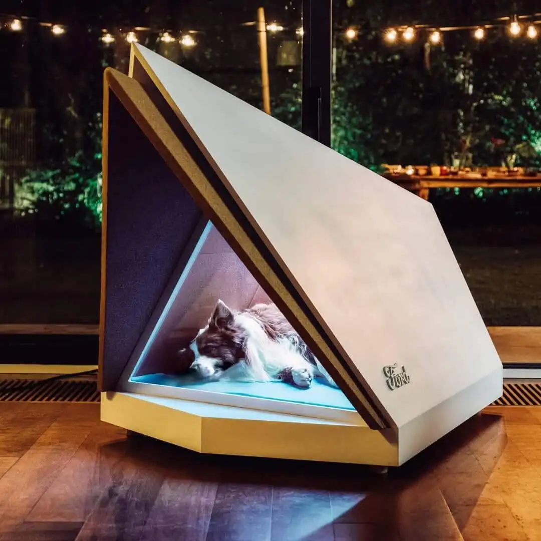 barkácsolás, design, feltalálók, hasznos találmányok, innováció, jövő technológiája, kreatív megoldások, mérnöki munka, mérnökök, problémamegoldás, találmányok, technológia, új technológiák