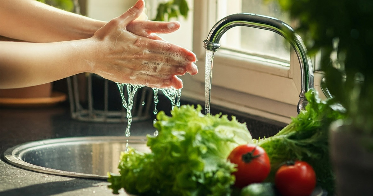 avokádó, baktériumok, campylobacter, csírák, csirke, darált hús, dinnye, e coli, élelmiszerbiztonság, ételfertőzés, ételmosás, hal, higiénia, italosdoboz, konyhai higiénia, listeria, marhahús, szalmonella, tojás, toxoplasma, zöldség