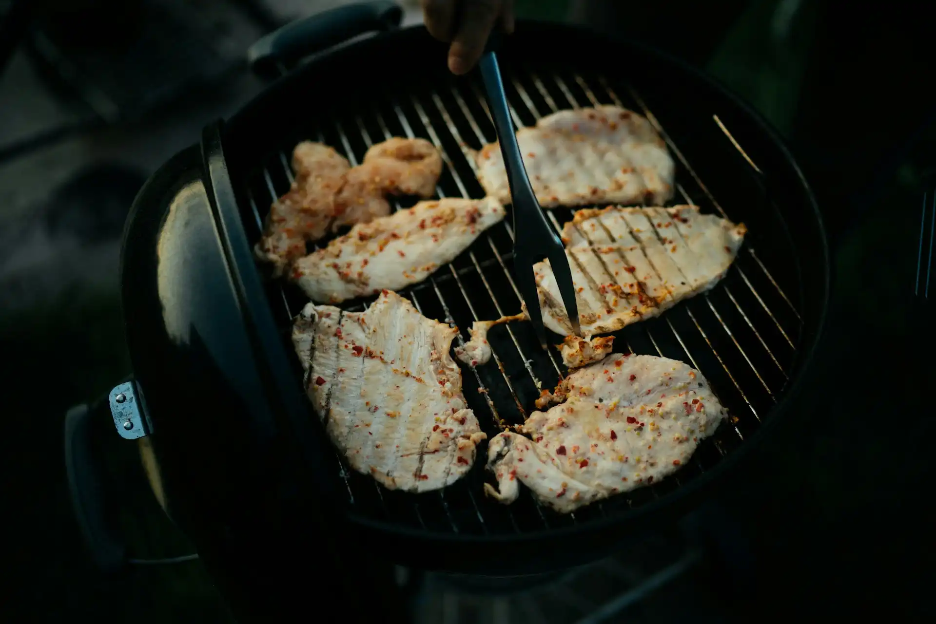 avokádó, baktériumok, campylobacter, csírák, csirke, darált hús, dinnye, e coli, élelmiszerbiztonság, ételfertőzés, ételmosás, hal, higiénia, italosdoboz, konyhai higiénia, listeria, marhahús, szalmonella, tojás, toxoplasma, zöldség