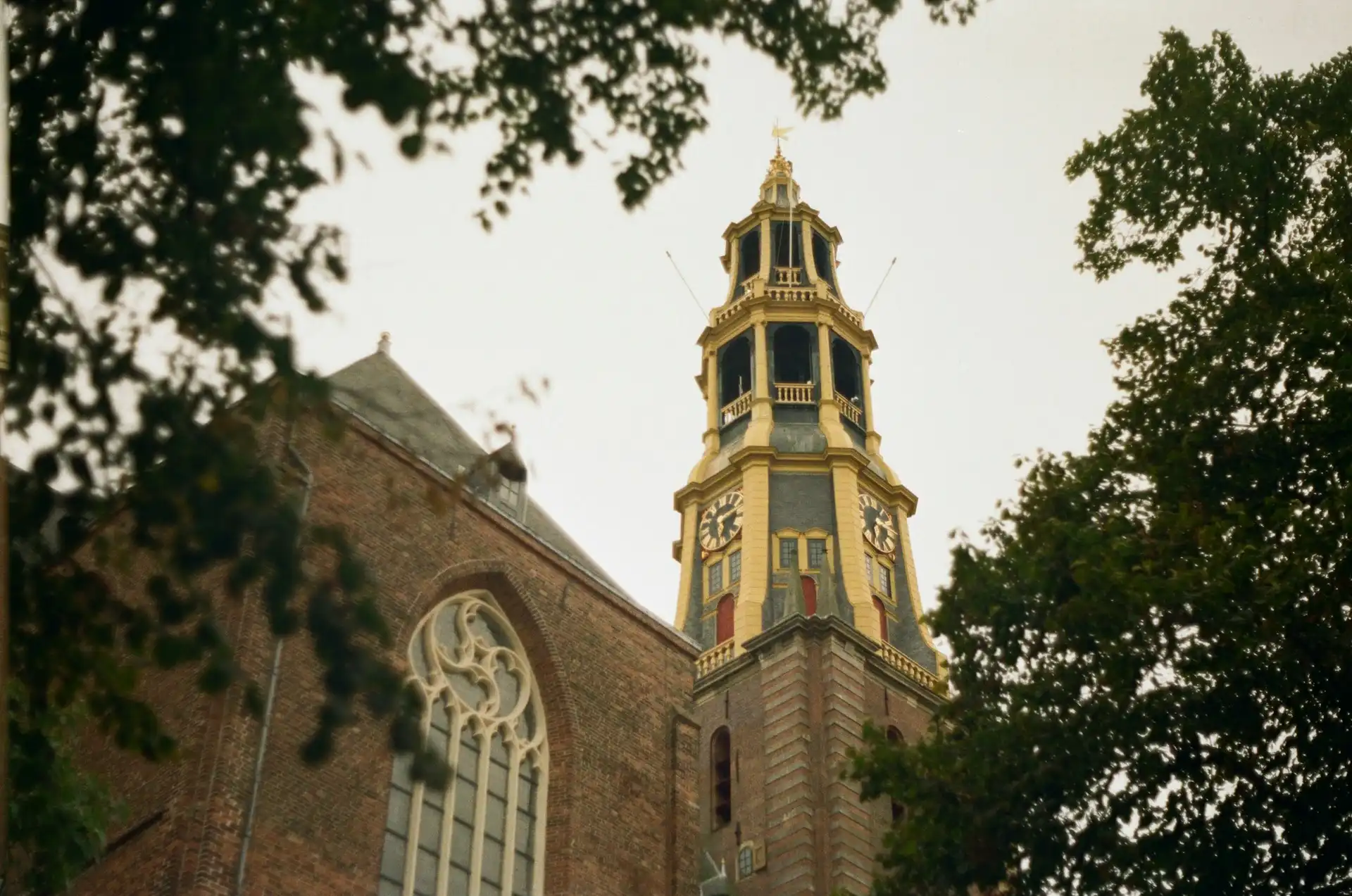 családi élet Hollandiában, gyermeknevelés Hollandiában, házimunka megosztása, holland kultúra, kulturális különbségek, munka és magánélet egyensúlya, nemi szerepek, nemzetközi családok, szülési szabadság