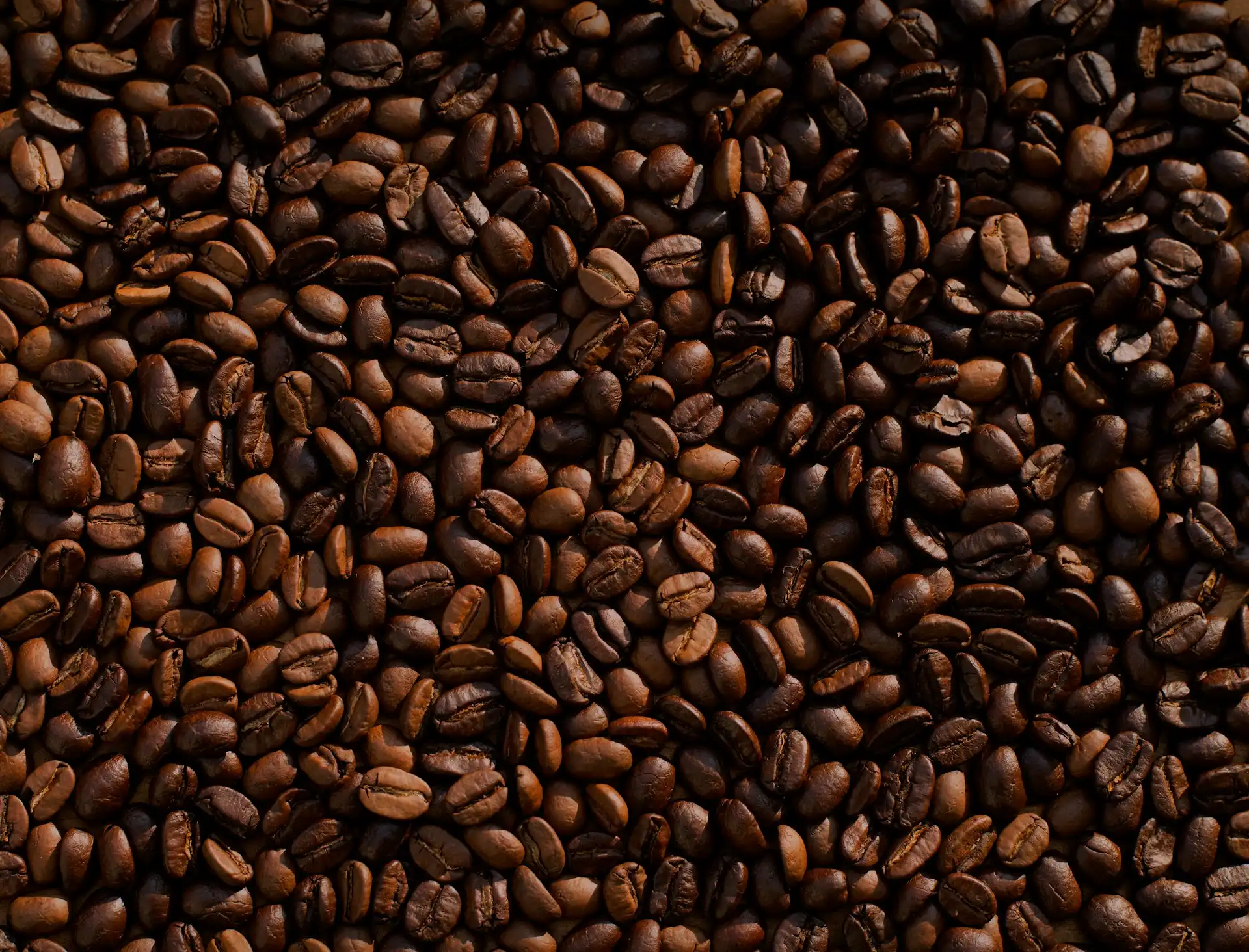egészség, instant kávé, kávé, koffein, minőség, mítoszok, összehasonlítás, technológia, tippek, választás