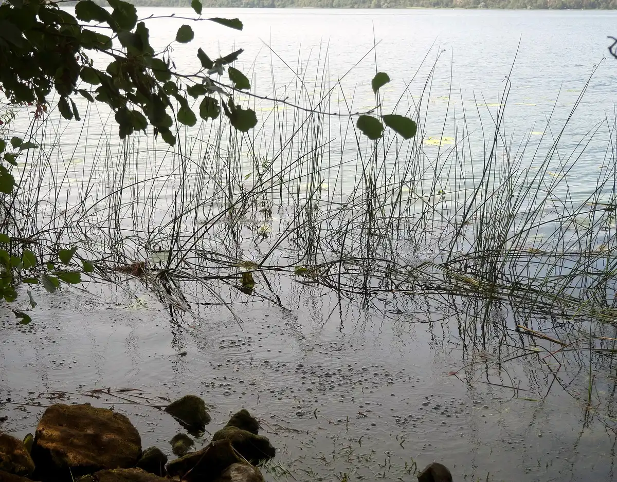 aktív vulkán, európa, katasztrófa, Laacher See, Németország, szupervulkán, természeti katasztrófa, veszély, vulkanikus tél, vulkánkitörés