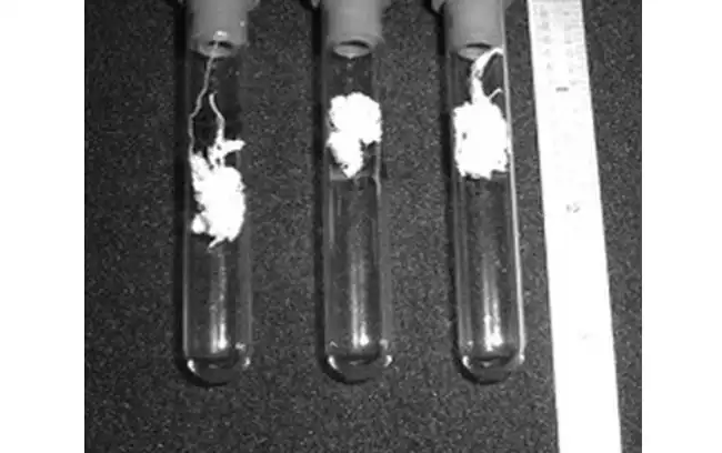 angyalhaj, égbolt, Idegenek, jelenség, megmagyarázhatatlan, összeesküvés, paranormális, rejtély, tudomány, UFO
