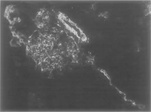 angyalhaj, égbolt, Idegenek, jelenség, megmagyarázhatatlan, összeesküvés, paranormális, rejtély, tudomány, UFO