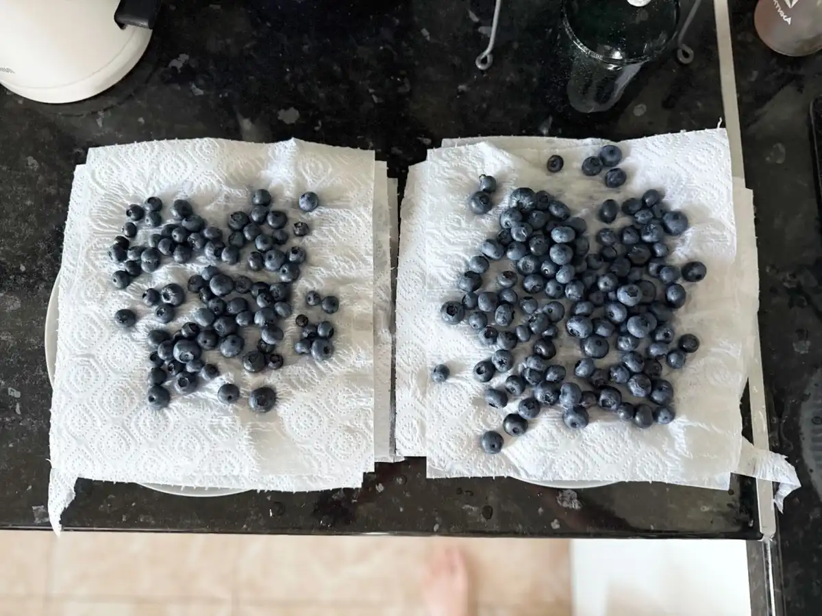 áfonya, befőzés, egészség, fagyasztás, gyümölcs, háztartás, konyha, recept, tartósítás, télire