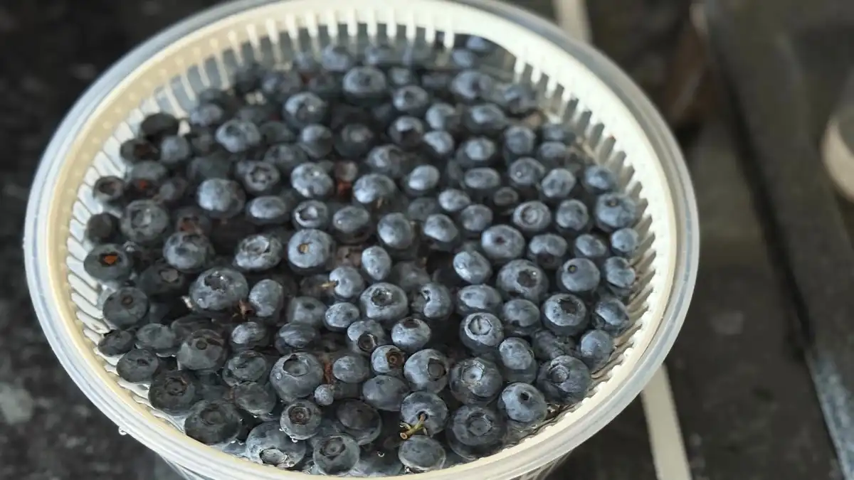 áfonya, befőzés, egészség, fagyasztás, gyümölcs, háztartás, konyha, recept, tartósítás, télire