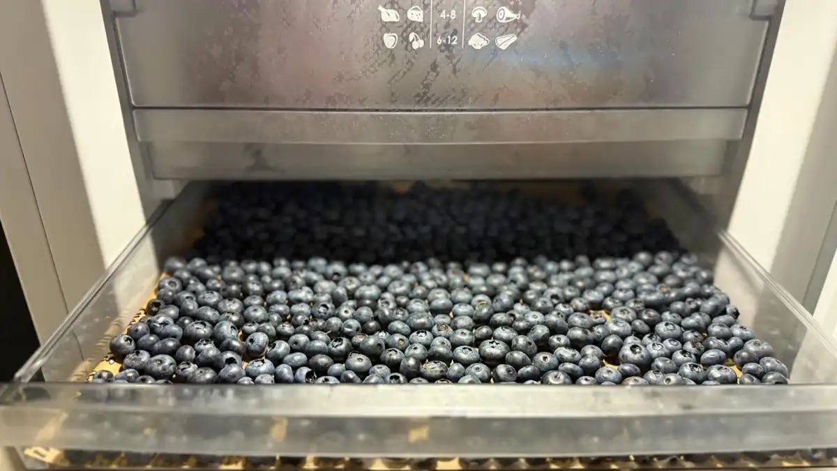 áfonya, befőzés, egészség, fagyasztás, gyümölcs, háztartás, konyha, recept, tartósítás, télire