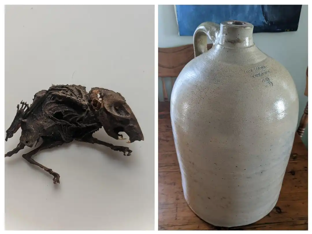 érdekességek, felfedezés, fotógyűjtemény, furcsaságok, hétköznapi tárgyak, képek, meglepetés, meglepő felfedezések, rejtély, rejtett titkok, természet csodái, válogatás