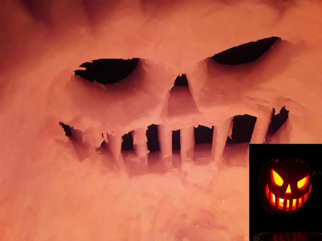 érdekességek, felfedezés, fotógyűjtemény, furcsaságok, hétköznapi tárgyak, képek, meglepetés, meglepő felfedezések, rejtély, rejtett titkok, természet csodái, válogatás