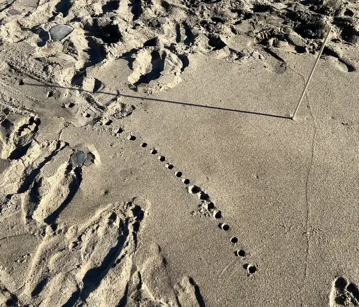 elég érdekes, érdekes fotók, érdekes pillanatok, felfedezések, furcsaságok, meglepő dolgok, mindennapi érdekességek, szokatlan dolgok