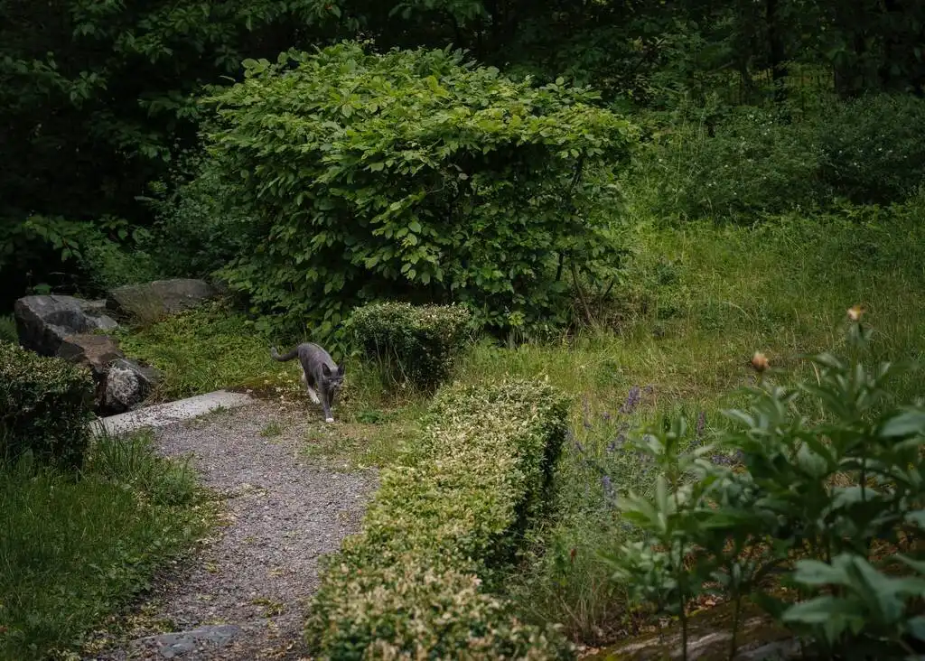 egyszerűség, életmód, lakás, lakberendezés, örökség, otthon, skandináv, Svédország, természet, valóság