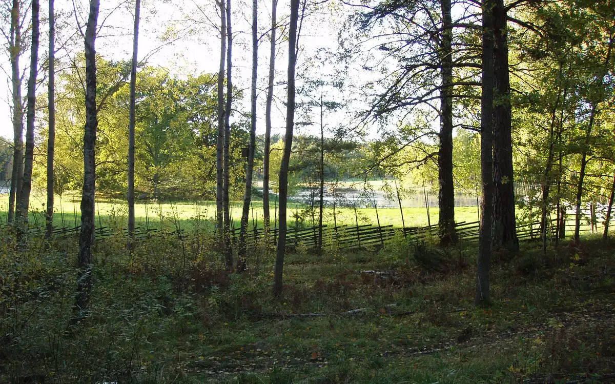 egyszerűség, életmód, lakás, lakberendezés, örökség, otthon, skandináv, Svédország, természet, valóság