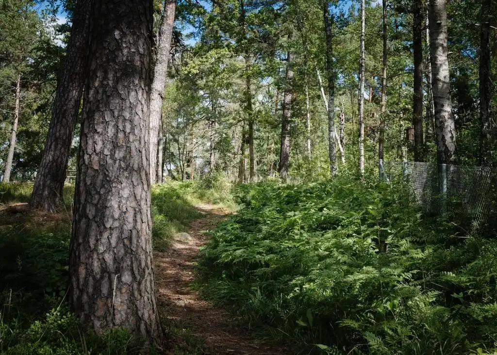 egyszerűség, életmód, lakás, lakberendezés, örökség, otthon, skandináv, Svédország, természet, valóság