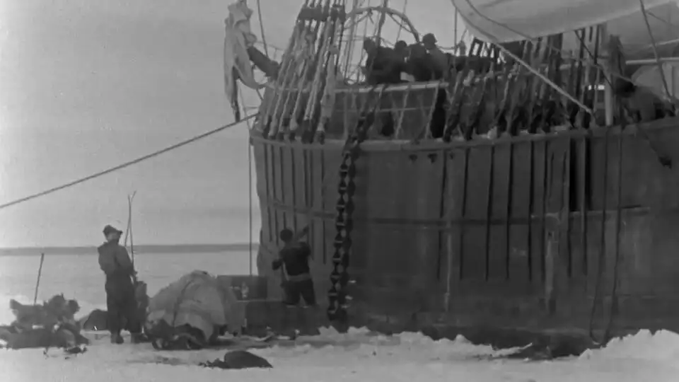Dead water, földrajz, Fram hajó, Fridtjof Nansen, Holt víz, Sarki expedíció, Tengerészet története, Tengeri csaták, természeti jelenségek, tudomány