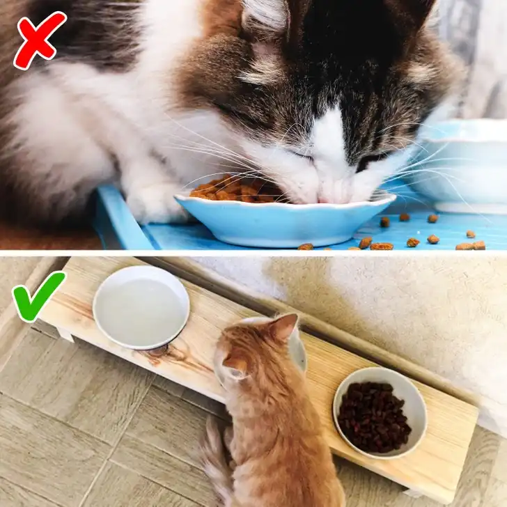 Kukába való dolgok 012