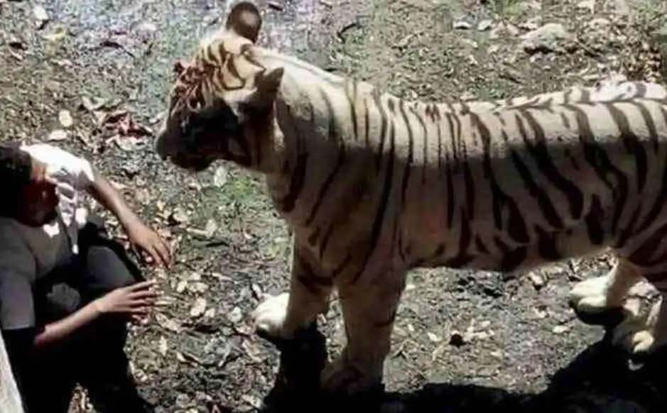 baleset, Érdekesség, fotók, hírességek, katasztrófa, sors, történelem, tragédia, Végzet