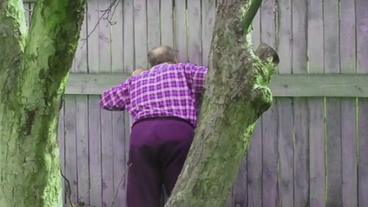 Birtokvédelem, fa, kert, Önhatalom, Szomszéd, Szomszédjog, Telekhatár, Tévhit, Törvény, vita