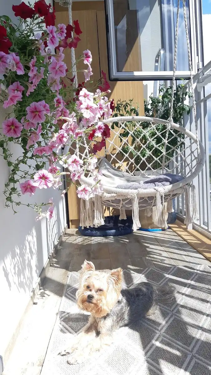 budget, DIY, enteriőr, felújítás, garzon, helytakarékos, inspiráció, lakberendezés, otthon, skandináv