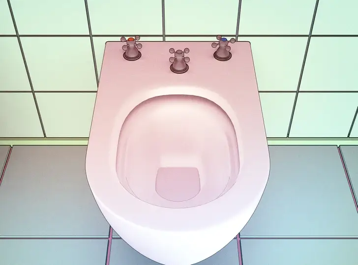 bidé, bidé használata, egészség, emésztési problémák, fürdőszoba, higiénia, intim higiénia, női higiénia, tisztaság, WC, WC-papír, wellness
