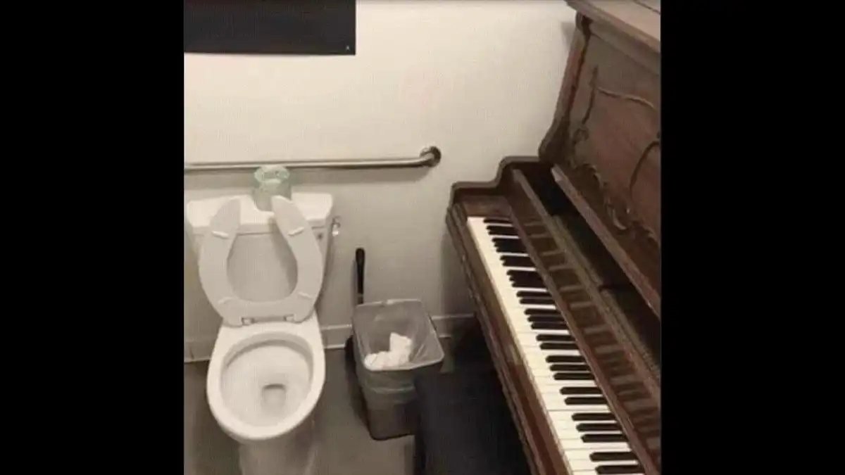 bizarr, dizájn, enteriőr, felújítás, humor, Különös, lakberendezés, otthon, Vécé, vicces