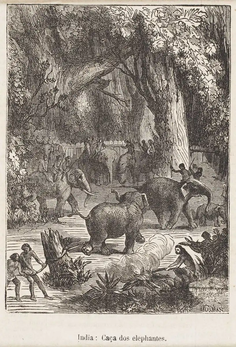 Ázsia, büntetés, elefántok, érdekesség, hatalom, india, kínzás, kivégzés, Kultúra, történelem