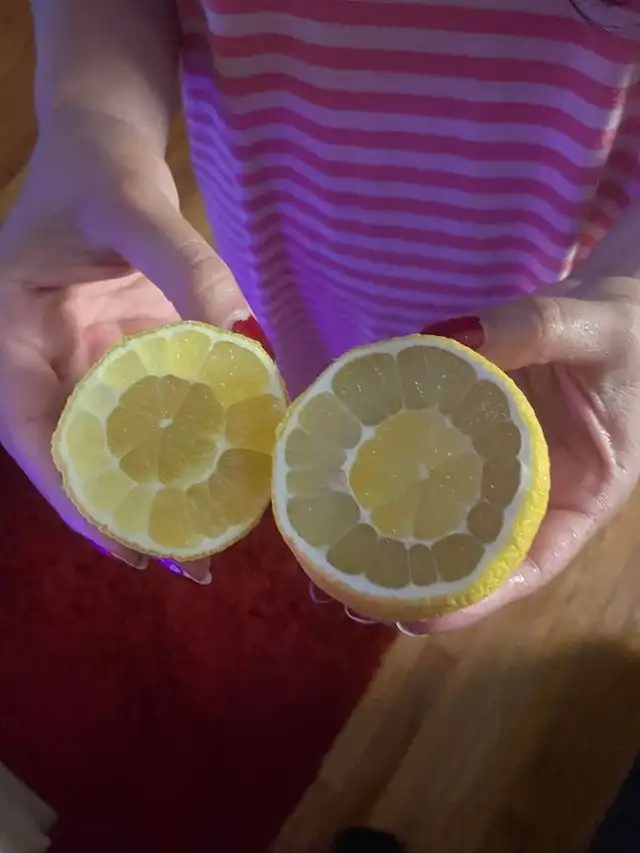 érdekességek, felfedezés, fotógyűjtemény, furcsaságok, hétköznapi tárgyak, képek, meglepetés, meglepő felfedezések, rejtély, rejtett titkok, természet csodái, válogatás