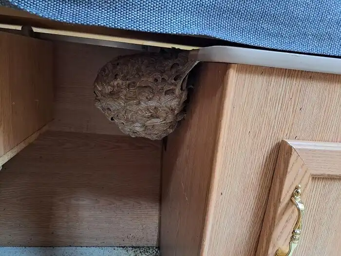 bakik, balszerencse, humor, irónia, képek, kudarc, mindennapi élet, szerencsétlenség, váratlan, vicces