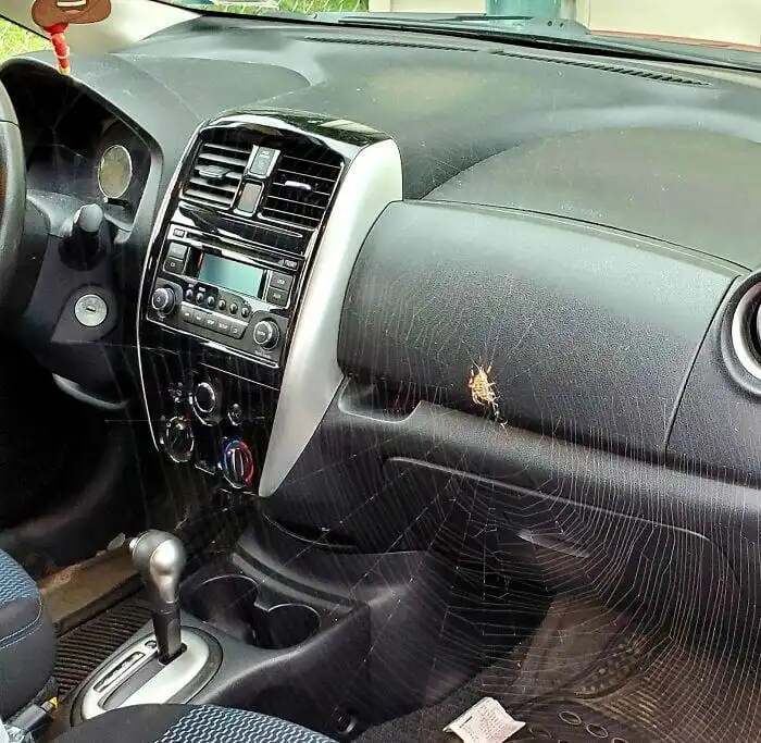 bakik, balszerencse, humor, irónia, képek, kudarc, mindennapi élet, szerencsétlenség, váratlan, vicces