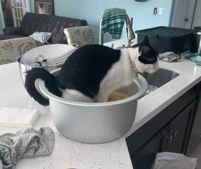 bakik, balszerencse, humor, irónia, képek, kudarc, mindennapi élet, szerencsétlenség, váratlan, vicces