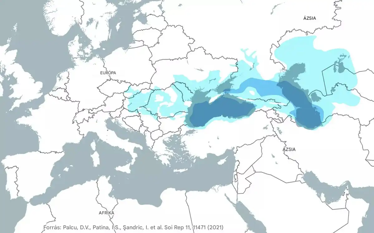 Aral-tó, evolúció, fekete-tenger, földrajz, geológia, Kaszpi-tenger, kihalás, Messinai sókrízis, miocén, ősföldrajz, őstörténet, paleontológia, Paratethys, természettudomány, tó, Üsztjürt-fennsík