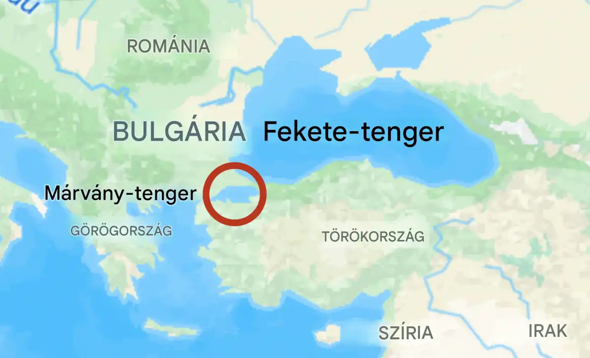 cápák, Cápák a Fekete-tengerben, Cápaveszély, fekete-tenger, Fürdés biztonsága Fekete-tenger, Katrány, Macskacápa, tengerbiológia, Tengeri cápák