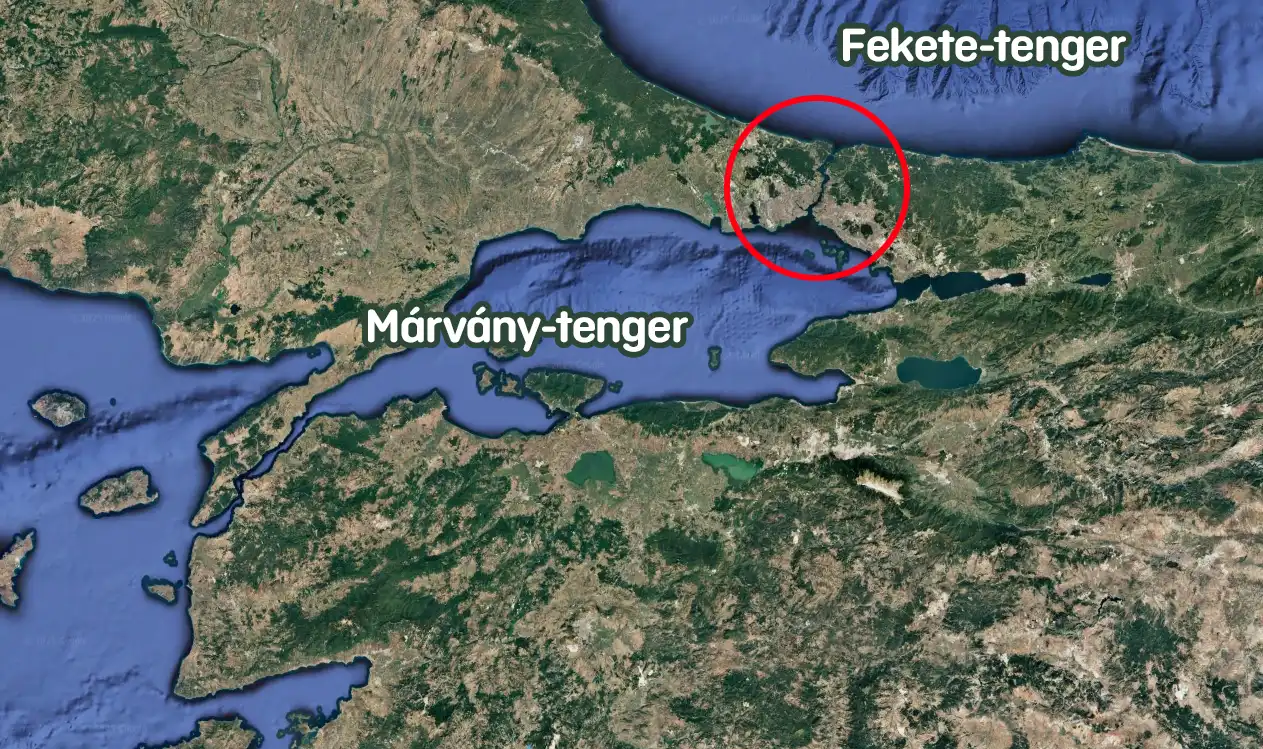 cápák, Cápák a Fekete-tengerben, Cápaveszély, fekete-tenger, Fürdés biztonsága Fekete-tenger, Katrány, Macskacápa, tengerbiológia, Tengeri cápák