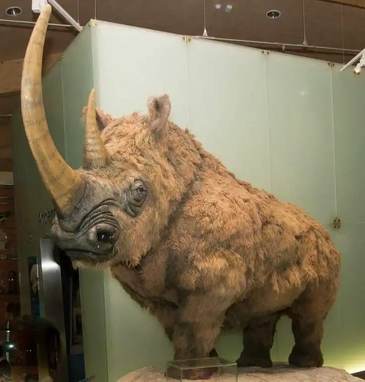 biológia, galéria, globális felmelegedés, jégkorszak, klímaváltozás, környezetvédelem, mamut, régészet, Szibéria, tudomány, vírus