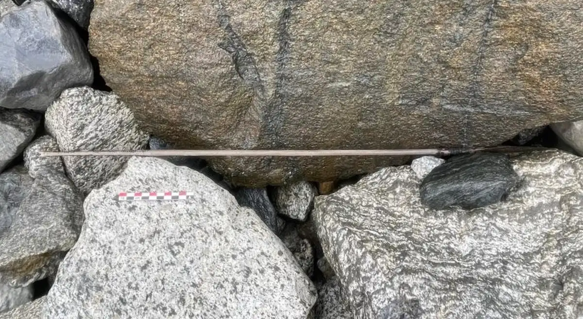 biológia, galéria, globális felmelegedés, jégkorszak, klímaváltozás, környezetvédelem, mamut, régészet, Szibéria, tudomány, vírus