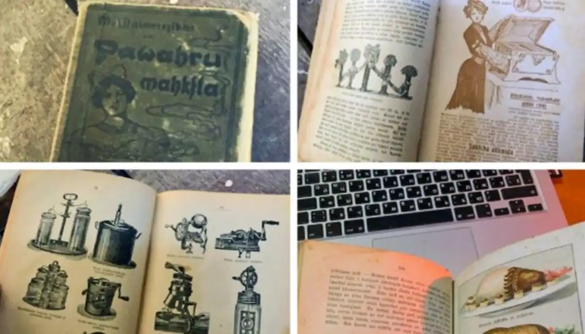 érdekességek, felújítás, kincsek, meglepetés, múlt, otthon, régiségek, rejtély, természet