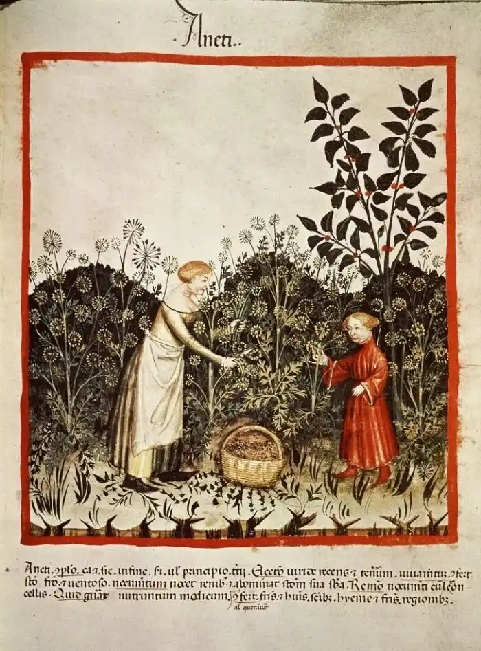 büntetés, család, csecsemőhalál, életmód, gyerekkor, gyermekek, gyermekmunka, halandóság, házasság, középkor, nevelés, szokások, társadalom, történelem