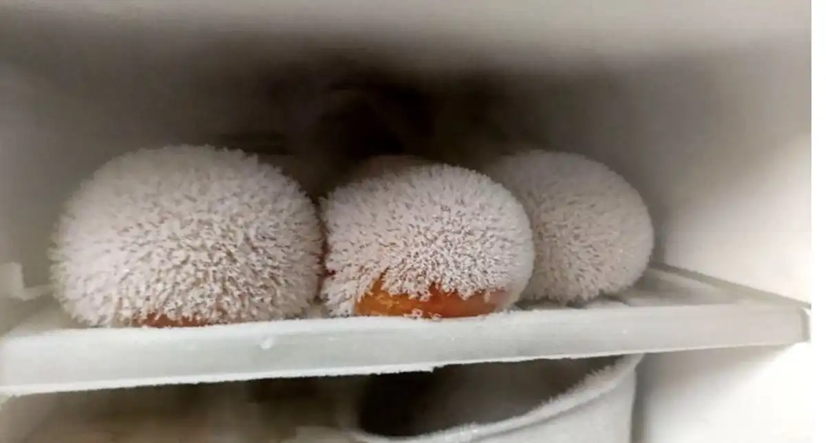 érdekesség, különleges fotók, meglepő dolgok, mindennapi tárgyak, véletlen felfedezés